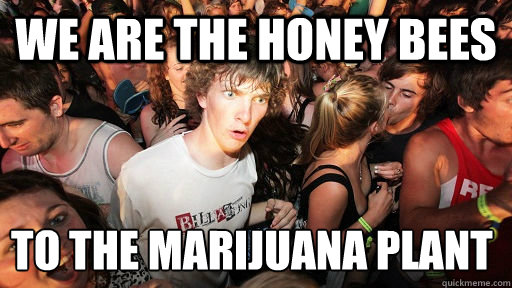 we are the honey bees to the marijuana plant  Sudden Clarity Clarence