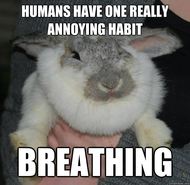 Humans have one really annoying habit breathing  Angry Bunny
