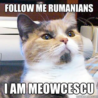 Follow me Rumanians I am Meowcescu - Follow me Rumanians I am Meowcescu  DICTATOR CAT