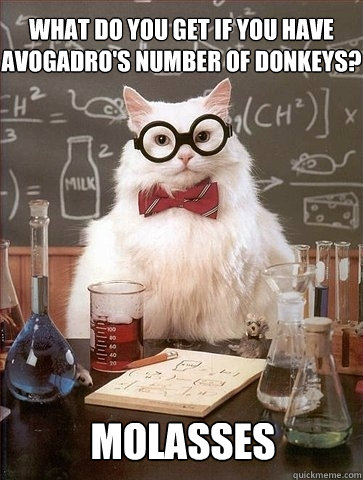 What do you get if you have Avogadro's number of donkeys? Molasses  Chemistry Cat