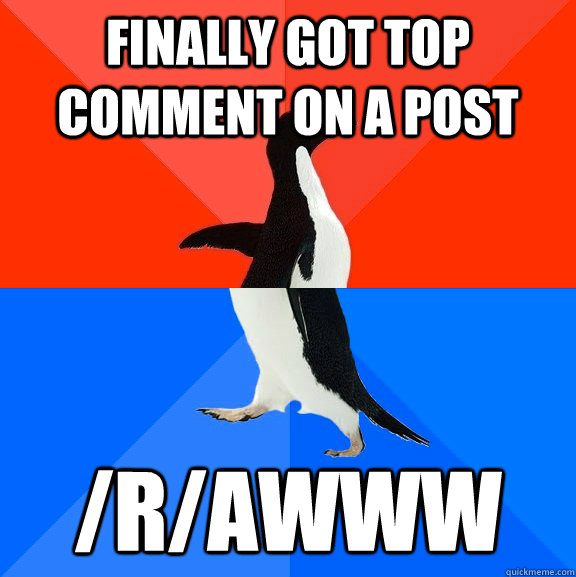 Finally got top comment on a post  /r/awww  Socially Awesome Awkward Penguin
