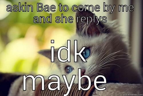 ASKIN BAE TO COME BY ME AND SHE REPLYS IDK MAYBE  First World Problems Cat