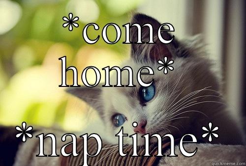 *COME HOME* *NAP TIME* First World Problems Cat