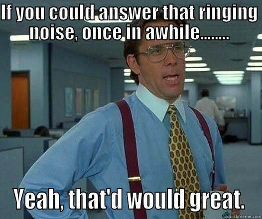 To those people who NEVER answer your phone. We all know atleast one! - IF YOU COULD ANSWER THAT RINGING NOISE, ONCE IN AWHILE........ YEAH, THAT'D WOULD GREAT. Office Space Lumbergh
