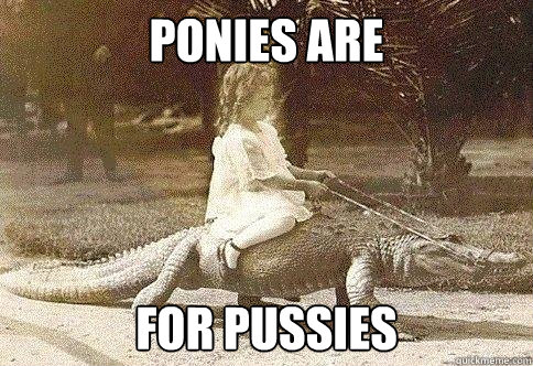 ponies are for pussies - ponies are for pussies  no ponies