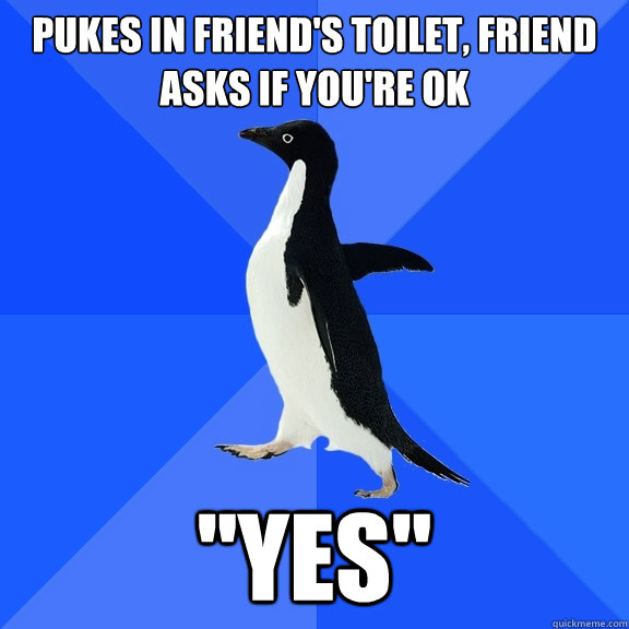 PUKES IN FRIEND'S TOILET, FRIEND ASKS IF YOU'RE OK 