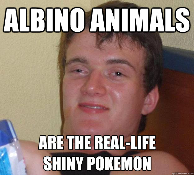 Albino animals are the real-life 
shiny pokemon  10 Guy