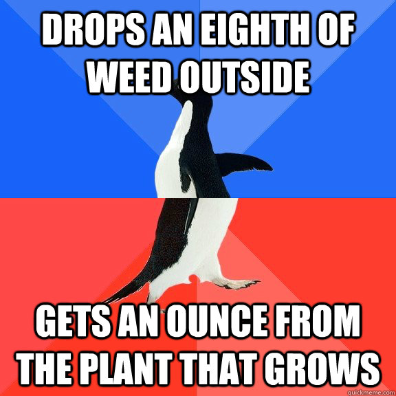 Drops an eighth of weed outside gets an ounce from the plant that grows  Socially Awkward Awesome Penguin