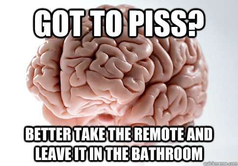 Got to piss? better take the remote and leave it in the bathroom  Scumbag Brain