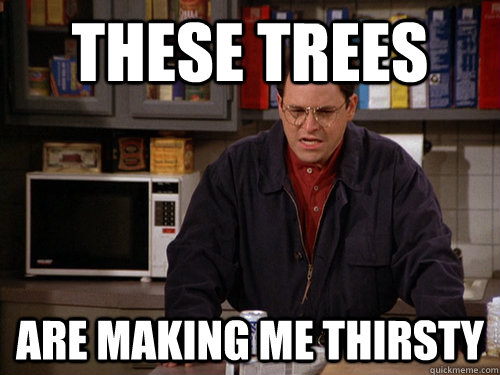 These trees are making me thirsty  Costanza