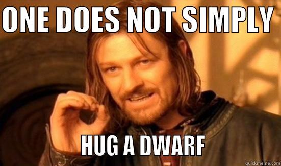 ONE DOES NOT SIMPLY                  HUG A DWARF               Boromir