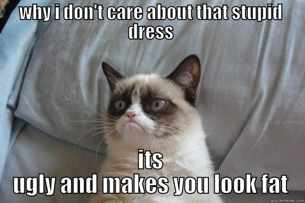 why i don't care about that stupid dress - WHY I DON'T CARE ABOUT THAT STUPID DRESS ITS UGLY AND MAKES YOU LOOK FAT Grumpy Cat