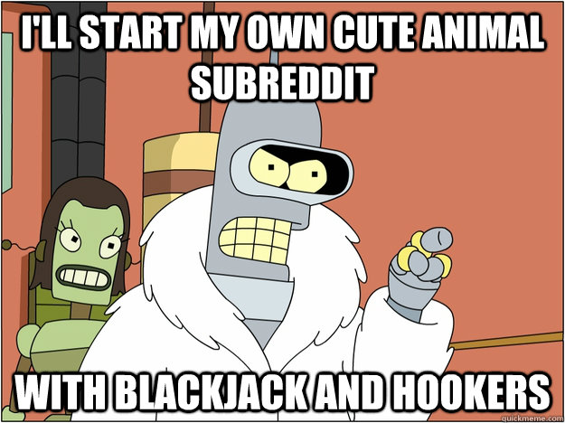 I'll start my own cute animal  subreddit with blackjack and hookers  BENDER STATE MEET