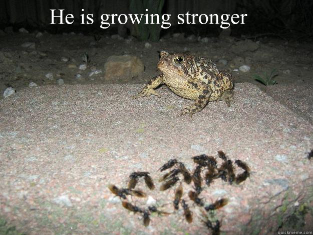 He is growing stronger - He is growing stronger  Powerup