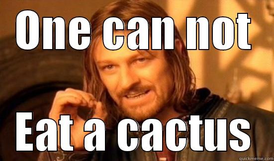 ONE CAN NOT EAT A CACTUS Boromir