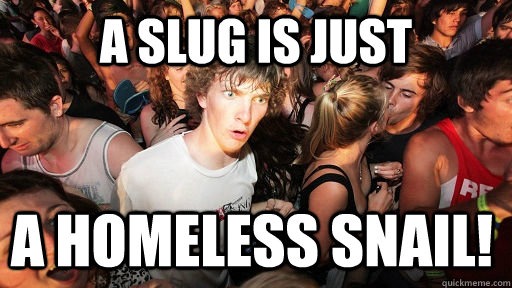A slug is just a homeless snail!  Sudden Clarity Clarence