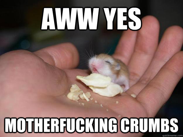 aww yes motherfucking crumbs - aww yes motherfucking crumbs  little mouse