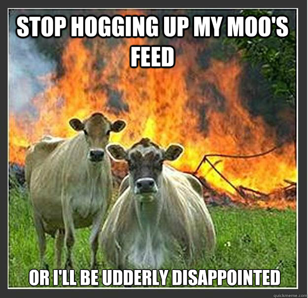 Stop hogging up my moo's feed 
or i'll be udderly disappointed  Evil cows