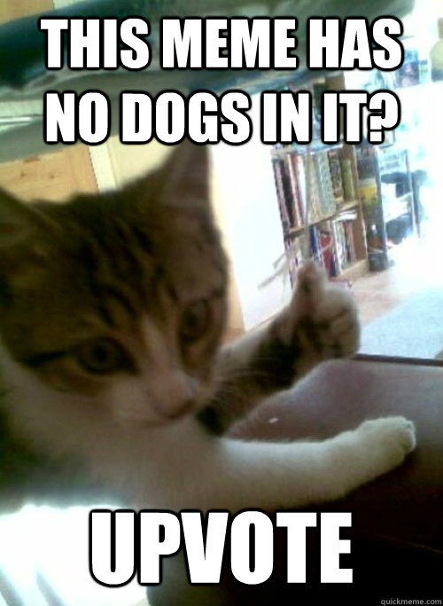 This meme has no dogs in it? Upvote - This meme has no dogs in it? Upvote  Approving Cat