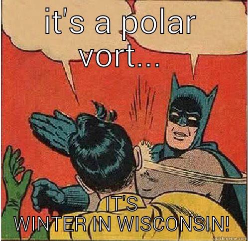 IT'S A POLAR VORT... IT'S WINTER IN WISCONSIN! Batman Slapping Robin