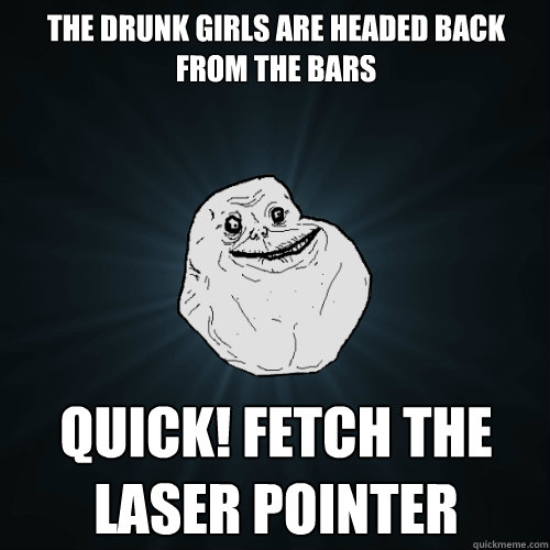 The drunk girls are headed back from the bars Quick! Fetch the laser pointer  Forever Alone