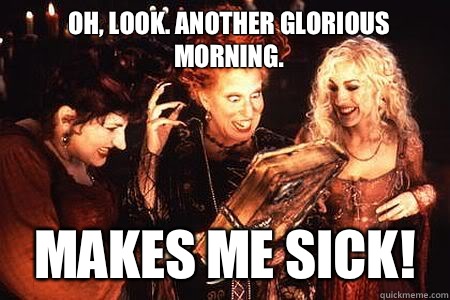 Oh, look. Another glorious morning. Makes me SICK!  Hocus Pocus Facebook