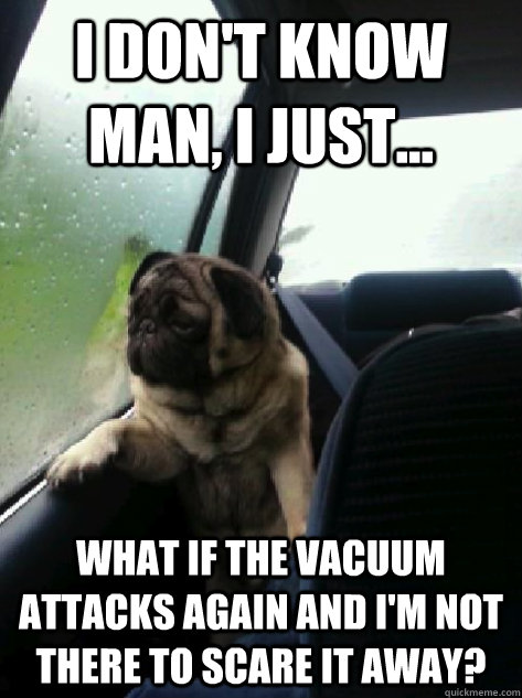 I don't know man, I just... What if the vacuum attacks again and I'm not there to scare it away? - I don't know man, I just... What if the vacuum attacks again and I'm not there to scare it away?  Introspective Pug