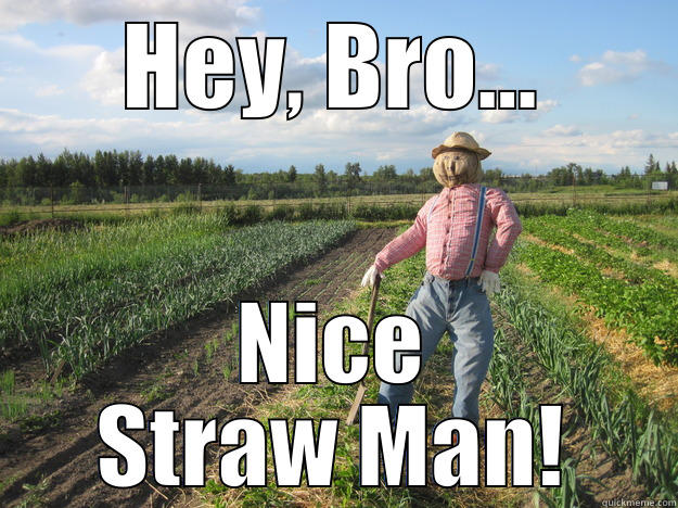 Straw man - HEY, BRO... NICE STRAW MAN! Scarecrow