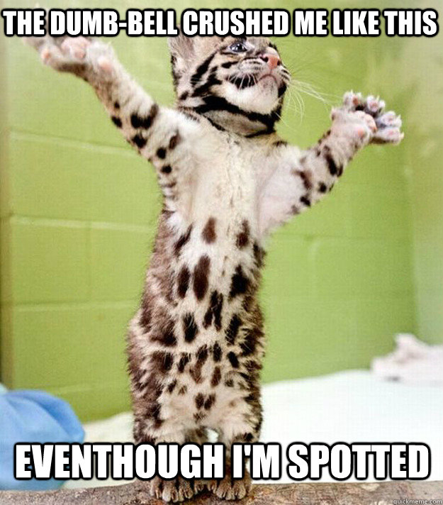 the dumb-bell crushed me like this eventhough i'm spotted - the dumb-bell crushed me like this eventhough i'm spotted  PastorCat