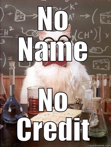 NO NAME NO CREDIT Chemistry Cat