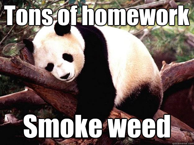 Tons of homework Smoke weed  Procrastination Panda