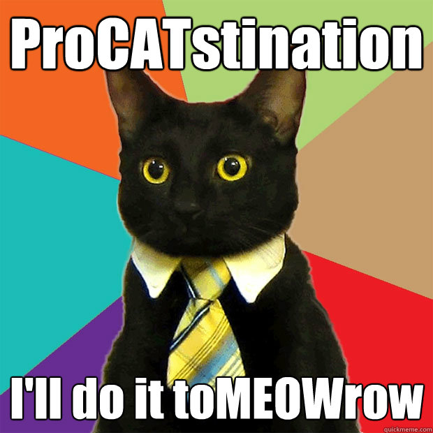 ProCATstination I'll do it toMEOWrow  Business Cat