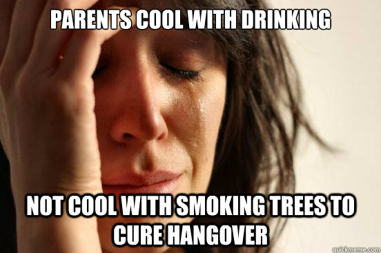Parents cool with drinking Not cool with smoking trees to cure hangover  First World Problems