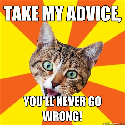 take my advice, you'll never go wrong!  Bad Advice Cat