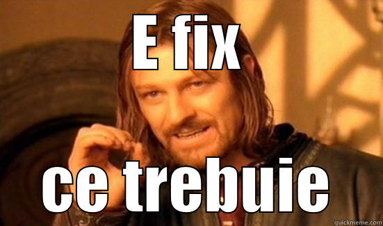E FIX CE TREBUIE Boromir