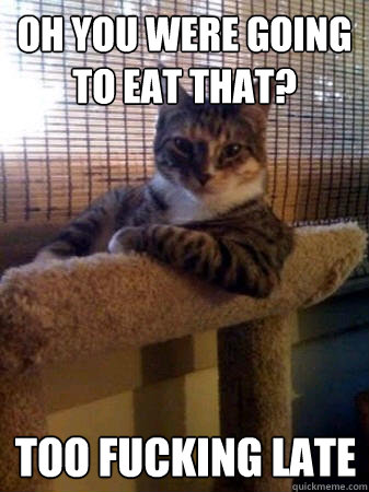 Oh you were going to eat that? too fucking late  The Most Interesting Cat in the World