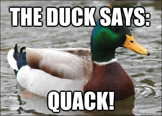 The duck says: Quack!  Actual Advice Mallard