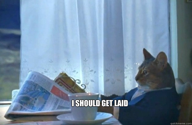 I should get laid  Sophisticated Cat