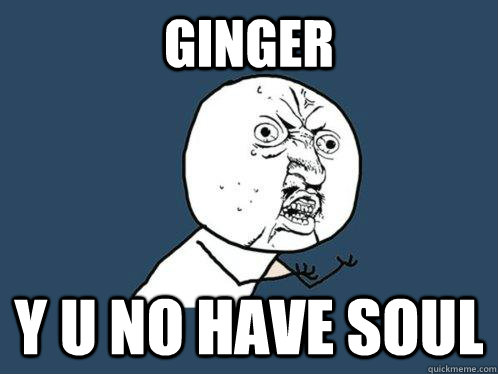 Ginger Y u no have soul  Y U No