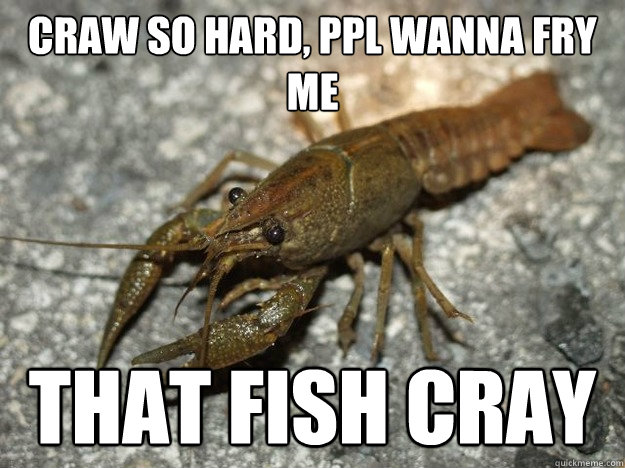 craw so hard, ppl wanna fry me That fish cray - craw so hard, ppl wanna fry me That fish cray  Crawfish