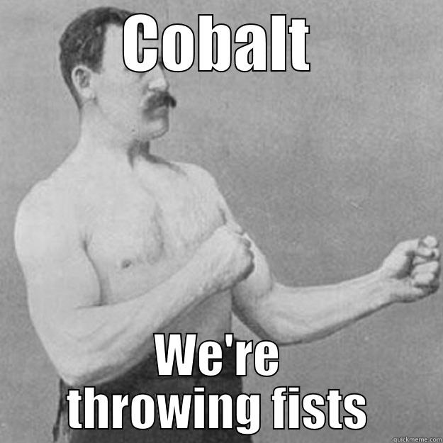 COBALT WE'RE THROWING FISTS overly manly man