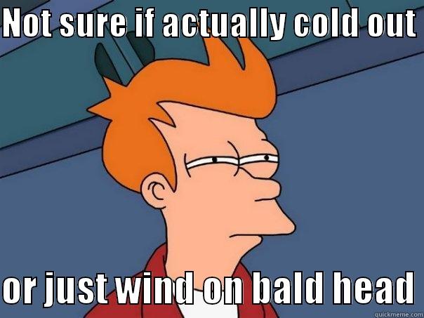 NOT SURE IF ACTUALLY COLD OUT   OR JUST WIND ON BALD HEAD Futurama Fry
