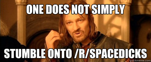 One does not simply stumble onto /r/spacedicks  One Does Not Simply