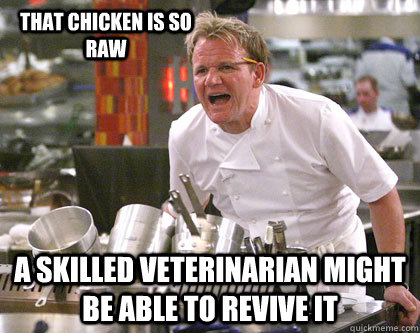 a skilled veterinarian might be able to revive it that chicken is so raw  Ramsay Gordon Yelling