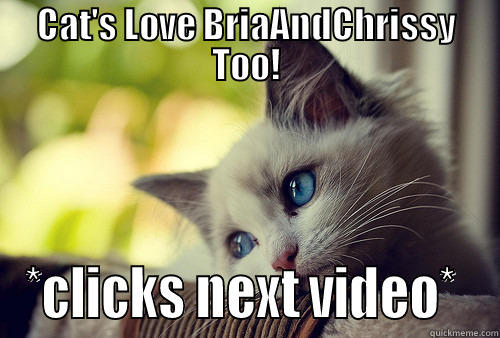 CAT'S LOVE BRIAANDCHRISSY TOO! *CLICKS NEXT VIDEO*  First World Problems Cat