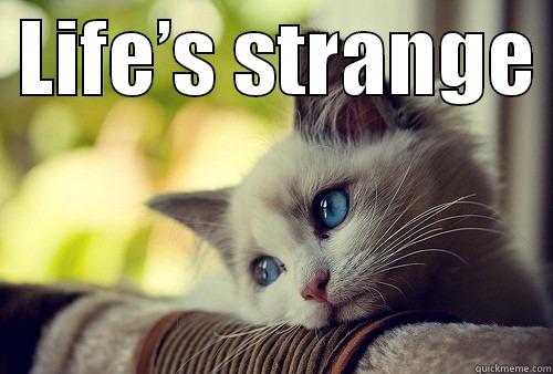  LIFE’S STRANGE   First World Problems Cat