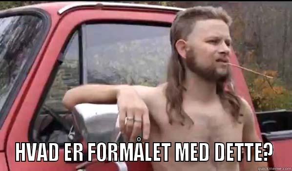  HVAD ER FORMÅLET MED DETTE? Almost Politically Correct Redneck