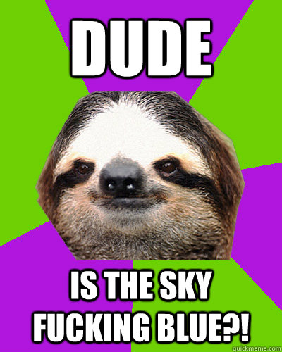 DUDE IS THE SKY FUCKING BLUE?! - DUDE IS THE SKY FUCKING BLUE?!  Weed sloth