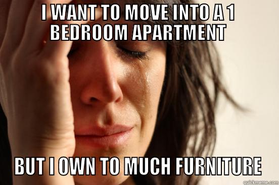 I WANT TO MOVE INTO A 1 BEDROOM APARTMENT BUT I OWN TO MUCH FURNITURE First World Problems