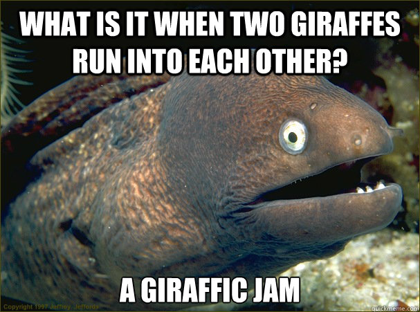 What is it when two giraffes run into each other? A Giraffic Jam  Bad Joke Eel
